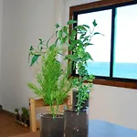 דירה Blue Horizon Galletas לאס גלטאס